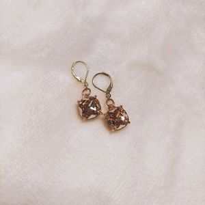 🆕😍 Champagne in Gold Tone Leverbacks